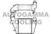 AUTOGAMMA 107460 Intercooler, charger